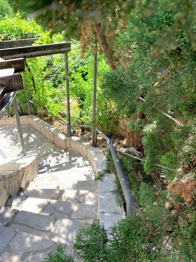 Villa Monte Boutique Apartments In 헤르섹 외부 사진